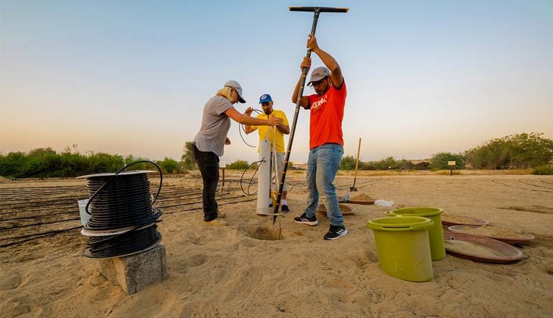 Mansoor-al-Tamimi,-Lesley-Kennedy,-Dr-Ahmed-Al-Muaini-installing-a-fluxmete- ew Zealand AgTech - techxmedia