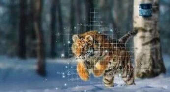 Google AI tool helps conservationists (and the public) track wildlife