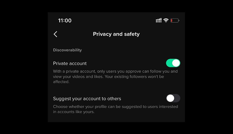 2-Privacy and safety options-tiktok-techxmedia