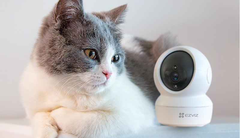 C6N+Cat-smart home security gadgets-techxmedia