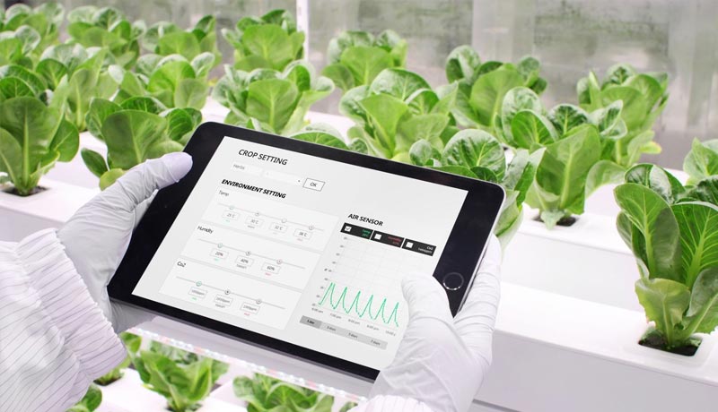 N.THING - vertical farming technology - GITEX 2021 - techxmedia