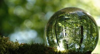 Salesforce establishes sustainability as a core company value