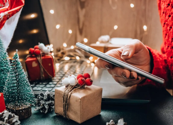 E-retailers vulnerable to cyber risks in the holiday shopping season