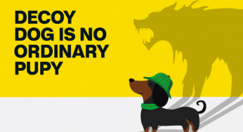 Decoy Dog: A Disturbing Malware Shift – Infoblox Report